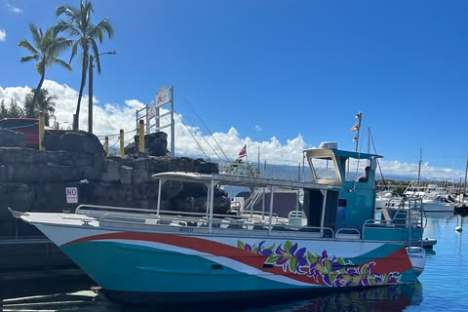 Colorful boat with flower design docked in harbor, palm trees and blue sky in background.