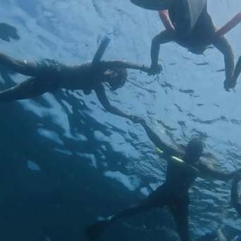 Three people snorkeling underwater holding hands in a circle.