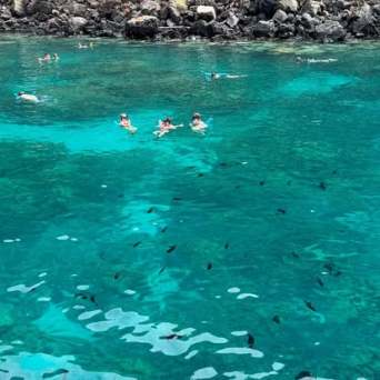 People swimming and snorkeling in clear blue water with visible fish.