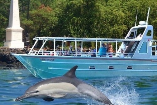 Dolphin jumping near a tour boat with people, trees in background.